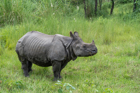 Chitwan: 2 NIGHTS 3 DAYS FULL SAFARI PACKAGE ALL INCLUSIVE Chitwan: 2 NIGHTS 3 DAYS FULL PACKAGE ALL INCLUSIVE