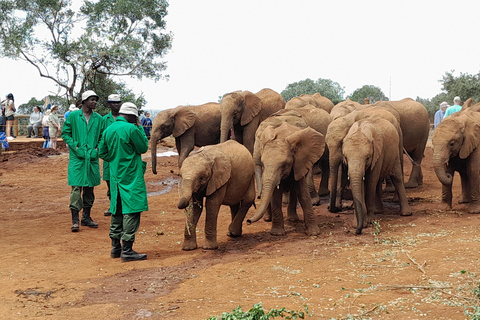 Giraffe, Elephant orphanage&amp; Bomas of Kenya Day Tour