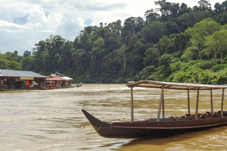 Kuala Lumpur: Taman Negara Tour w/Lata Berkoh Falls & Lunch Pickup Within KL City Centre Area Only