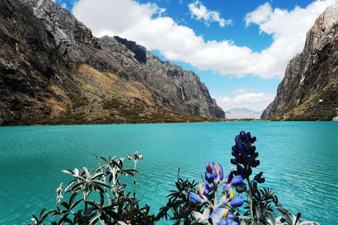 Excursion passionnante à la lagune de Chinancocha