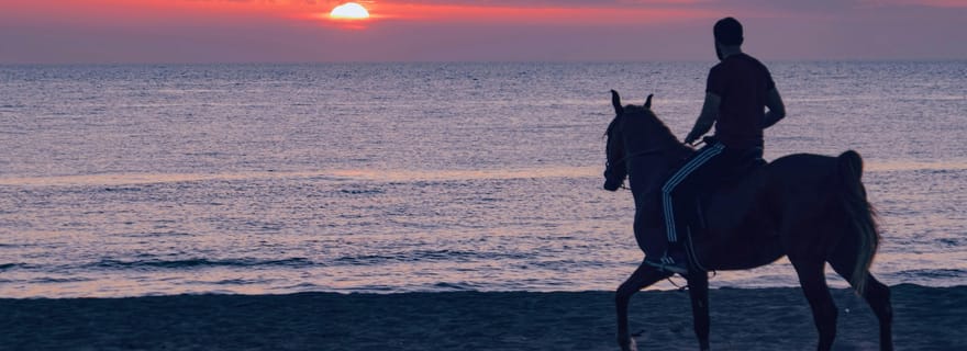 Djerba – Balade à cheval vers l’Île aux Flamants Roses