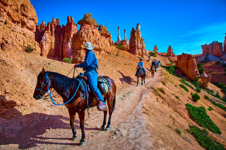 Moab: Scenic Horseback Ride Through Red Rock Country