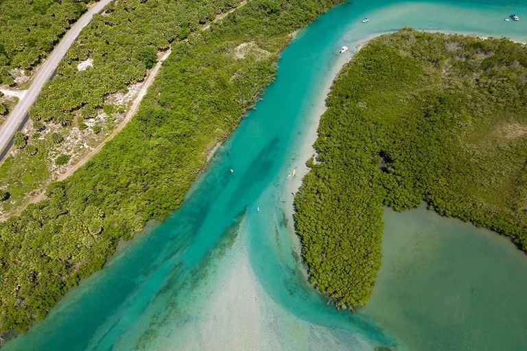 Fort Pierce: Clear Kayak Tour with Wildlife Sightings