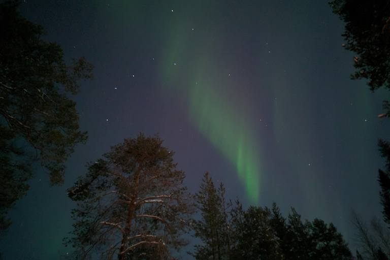 Rovaniemi: Garantiertes magisches Nordlicht-AbenteuerPrivate Jagd auf Nordlichter