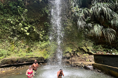 St. Lucia Caraïben: Excursie over zee en landSt. Lucia: Excursie over zee en land