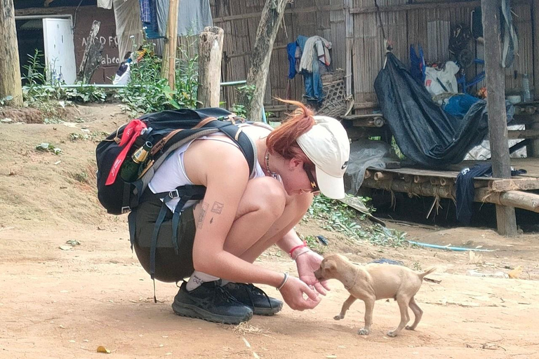 Chiang Rai: Jungle Adventure-Group Trekking & Bamboo Cooking