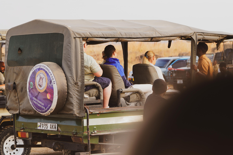 Zanzibar: safari a Saadani e fauna selvatica sull'oceano con voloDa Zanzibar: safari a Saadani in traghetto e ritorno in volo