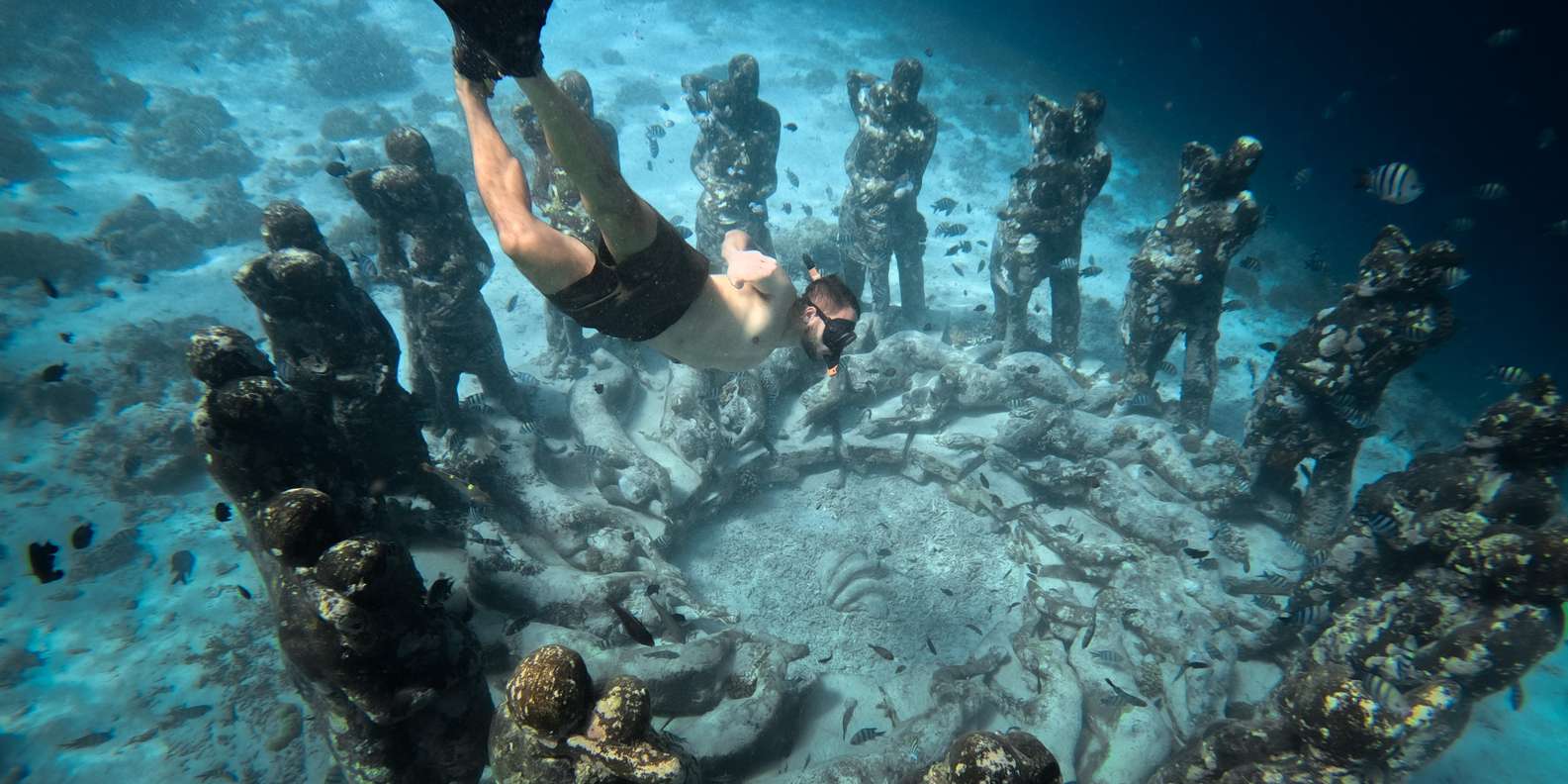Bali snorkeling tour — underwater marine life and coral reefs — image 25