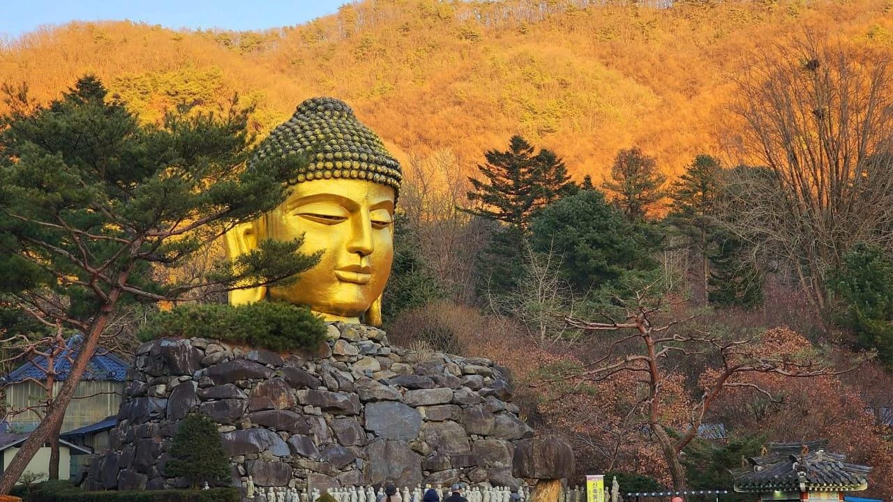 Das faszinierende Gyeonggi: Tour mit Fahrer und Premium-Van