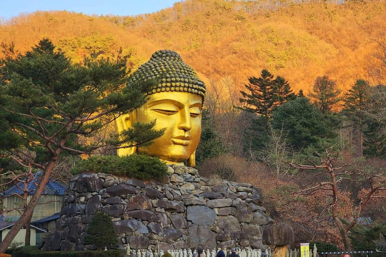 Amazing Gyeonggi: Private Tour with Driver and Premium Van