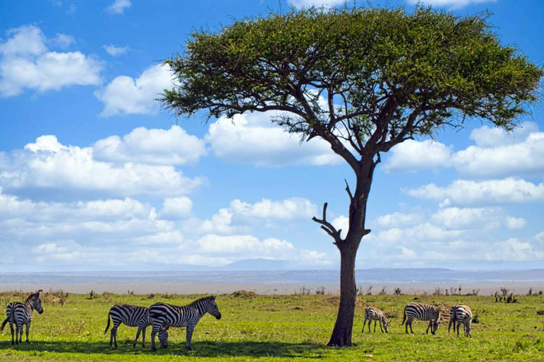 Från Arusha: 3-dagars safari till Tarangire, Serengeti och ...