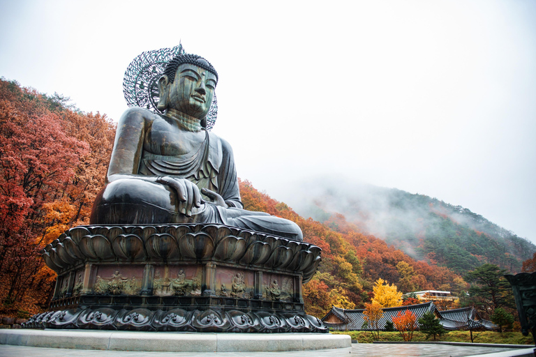 Seoul: Mt Seoraksan, Naksansa & Naksan Beach Private Tour