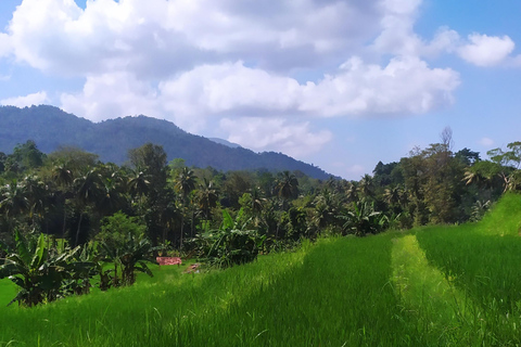 Kandy city tour and village tour in one day