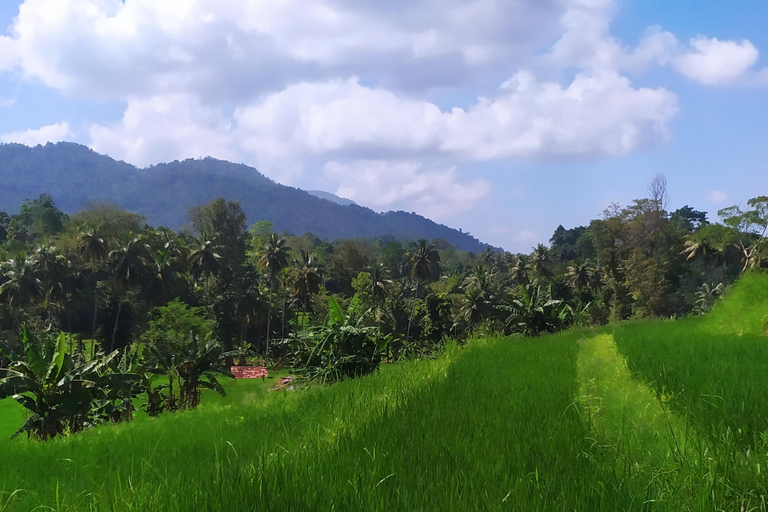 Kandy city tour and village tour in one day