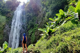 Moshi image