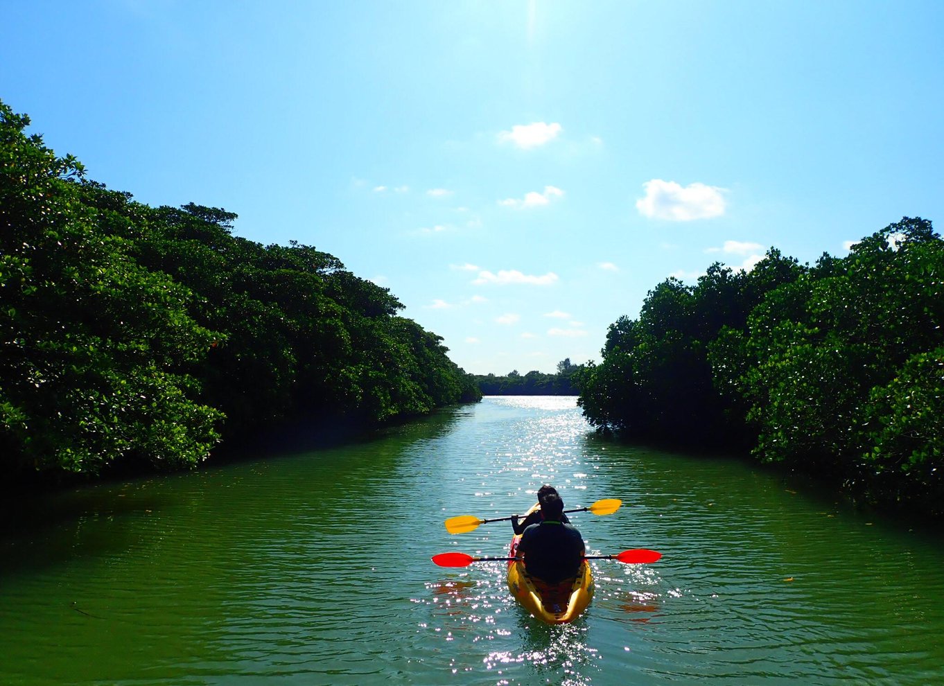 Ishigaki: Mangrove SUP eller kano & snorkling ved Phantom Island