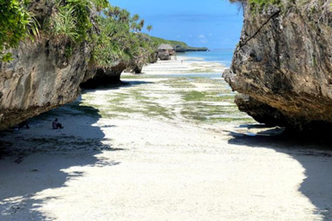 Zanzibar: las Jozani, centrum motyli i wycieczka na plażę MtendeOdbiór z miejsca zakwaterowania nie jest wliczony w cenę.
