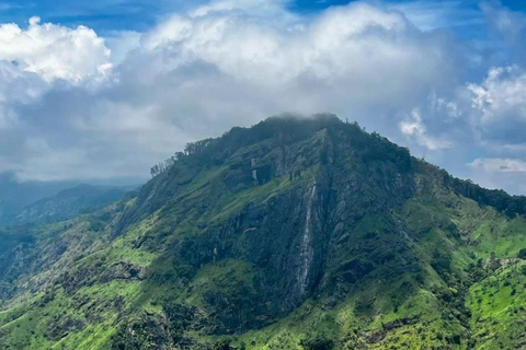 Ella: Ella Day Tour NineArch Bridge with Expert Female Guide Ella tour from Colombo, Negombo, Mt lavinia, Kalutara