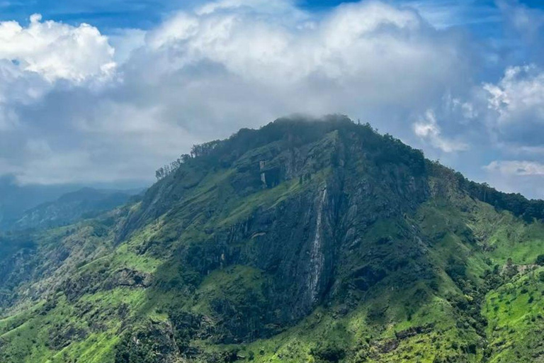 Ella: Ella Day Tour NineArch Bridge with Expert Female Guide Ella tour from Colombo, Negombo, Mt lavinia, Kalutara