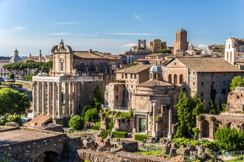 Rome: Priority Access Colosseum, Roman Forum & Palatine Tour German Small Group Tour