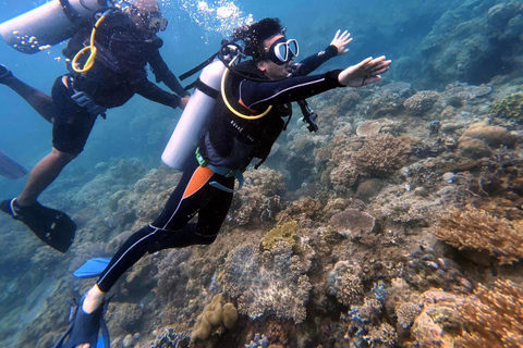 Boracay: Excursión por las islas en barco con snorkel y submarinismo