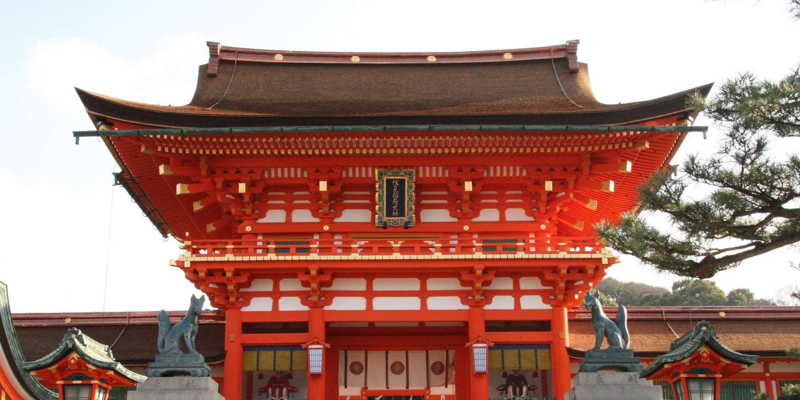Kyoto experience — temples, geisha, bamboo grove — image 19