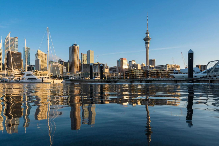Auckland Harbour Highlights Cruise with Live Commentary
