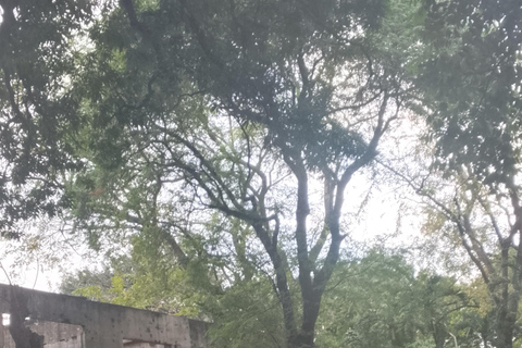 Manila: Fort Santiago Guided Tour