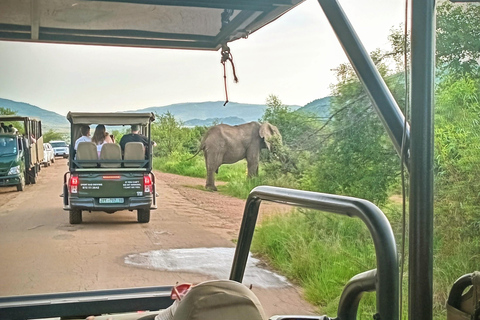 Pilanesberg National Park