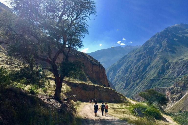 Caminata dentro del Cañón del Colca 2 DÍAS con comidas en Arequipa