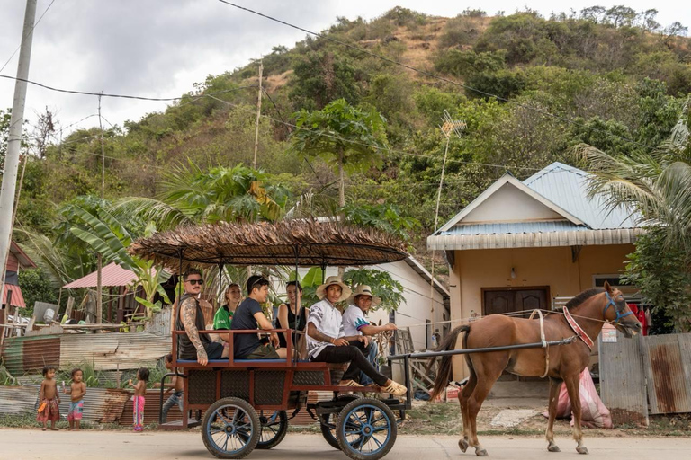 Siem Reap: Private Horseback & Horse-Drawn Carriage Rides (1 hour) Horseback Ride