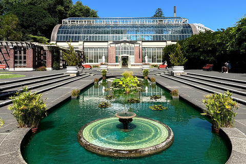 Tour privado de medio día por los 5 mejores lugares de Auckland