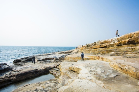 From Osaka: Shirahama Coastal Scenery Day Tour