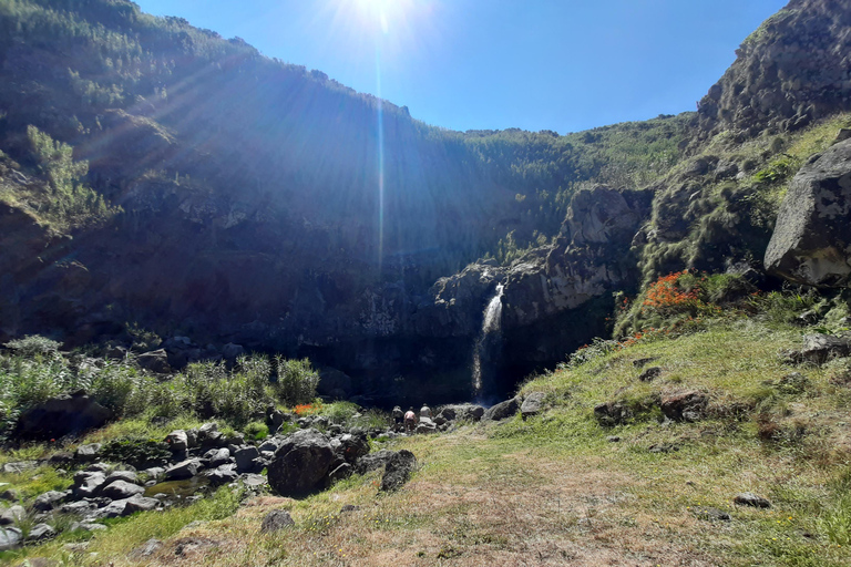 São Miguel: Moinho do Felix-Wanderung mit Besuch der Teefabrik