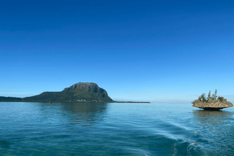 Bateau privé à l&#039;Île aux Bénitiers : Plongée en apnée avec les dauphins et homardBateau privé Île aux Bénitiers : Nage avec les dauphins et homard