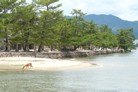 Private Hiroshima: Peace Memorial Park and Miyajima Day Trip