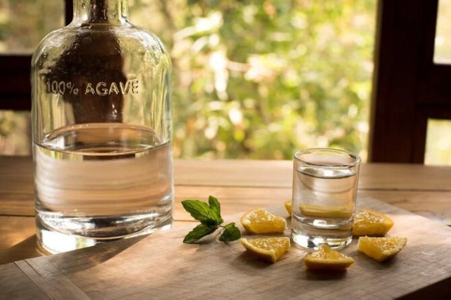 Visit Mahahual Authentic Mezcal & Tequila Tasting Experience in Mahahual