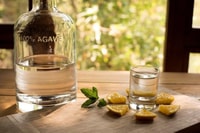 Expérience de dégustation Mahahual, Authentic Mezcal & Tequila - Housity