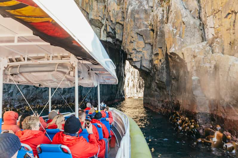 From Hobart/Adventure Bay: Bruny Island Wilderness Cruise | GetYourGuide