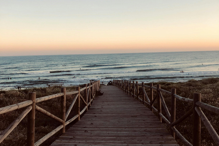 Málaga: Ronda, Marbella, and Puerto Banús Day Trip