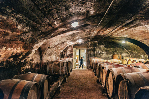 Au départ de Lyon : Circuit des vins du Beaujolais avec dégustations