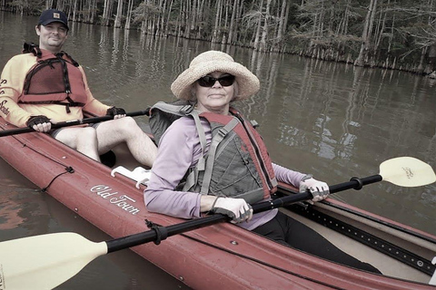 Spooky Swamp | Evening Paddle on Lake Charlotte(Sunset Tour)
