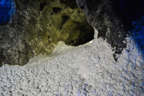 From Bogota: Private Guided Nemocón Salt Cathedral Tour