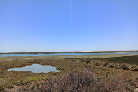 Faro: Ria Formosa Faro Islands Boat Tour
