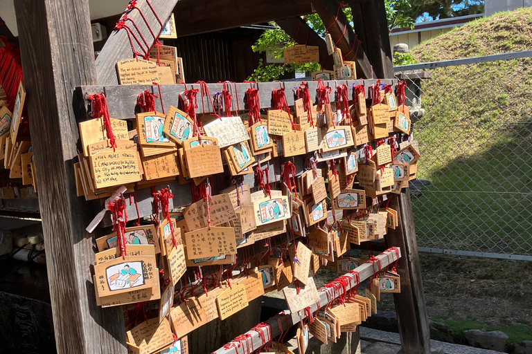 De Kyoto: Tour particular de carro em Nara com serviço de busca no hotel