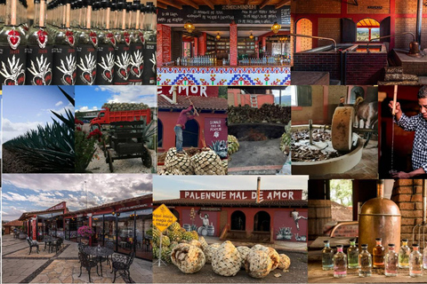 Mezcal Oaxaca : Visite, gastronomie et dégustation de mezcalMEZCAL OAXACA : VISITE, GASTRONOMIE ET DEGUSTATION DE MEZCAL