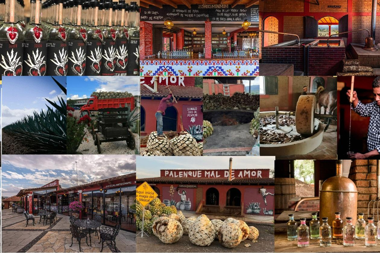 Mezcal Oaxaca : Visite, gastronomie et dégustation de mezcalMEZCAL OAXACA : VISITE, GASTRONOMIE ET DEGUSTATION DE MEZCAL