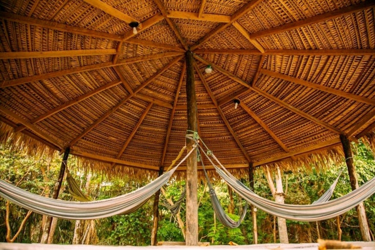 Manaus: 2-, 3- of 4-daagse uitstap Amazone in Anaconda Lodge3 dagen & 2 nachten: privékamer met airco en badkamer
