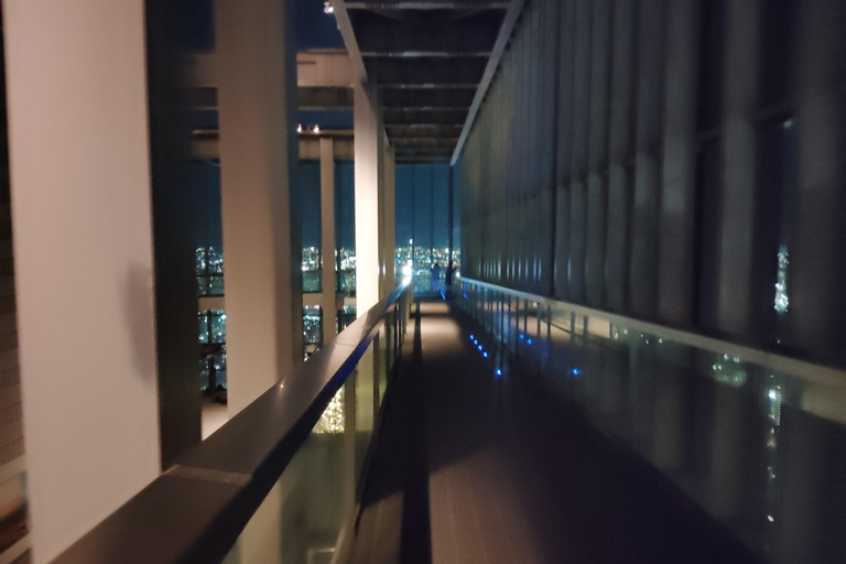 Nagoya: Two Towers, One Night of Urban Elegance