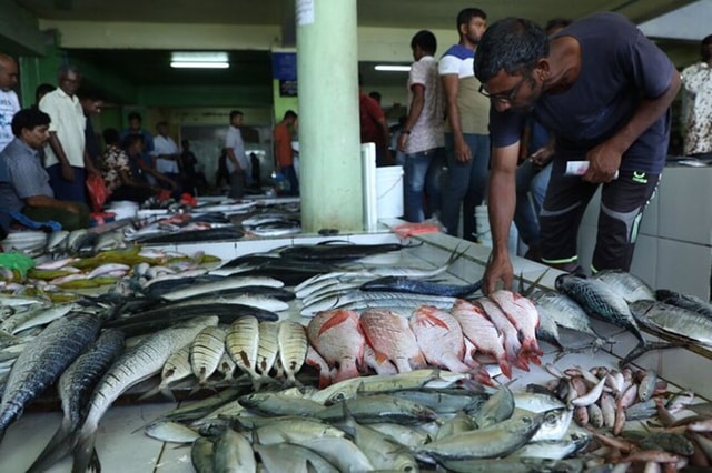 Visit Maldives  Private Male’ City walking tour with options in Maldivas